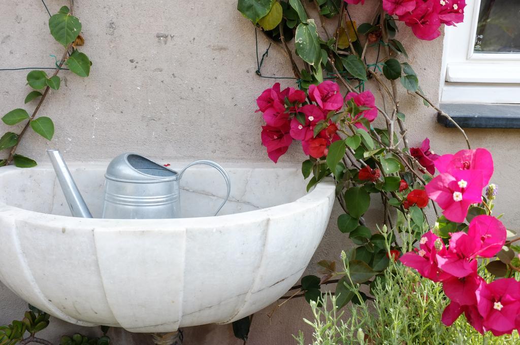 La Terrazza Di Vico Olivi B&B Ventimiglia Bagian luar foto