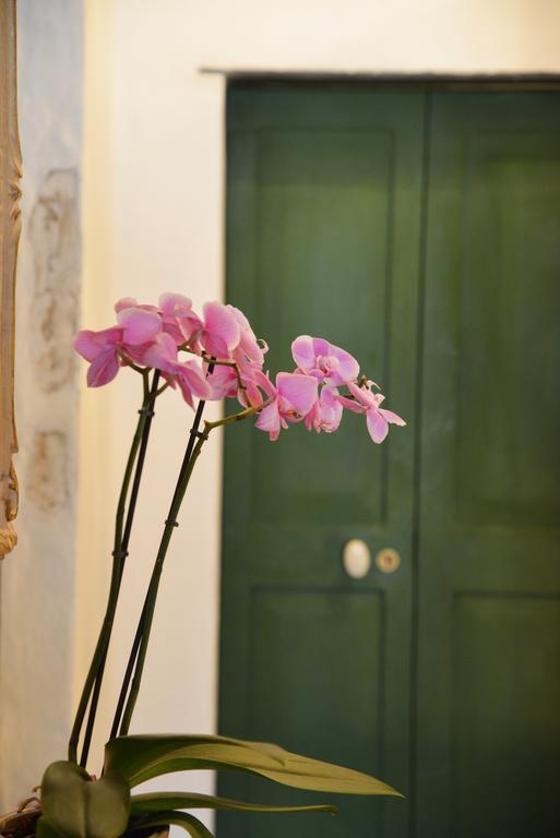 La Terrazza Di Vico Olivi B&B Ventimiglia Bagian luar foto